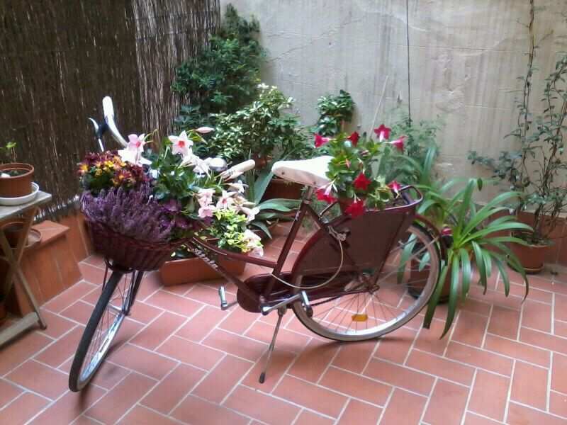 bici de paseo y cesta llena de flores